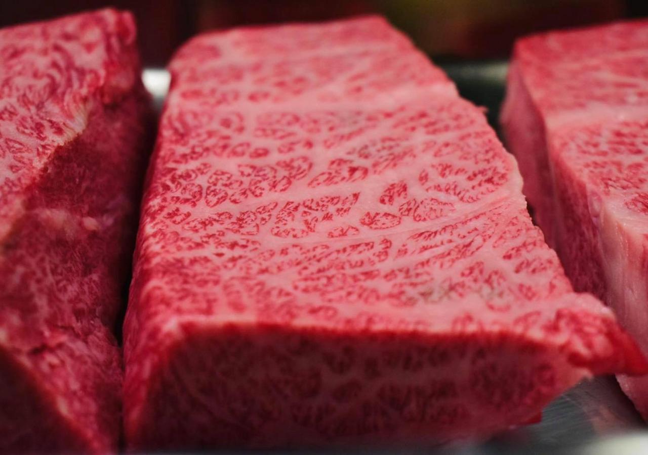 筋肉と自然と遊ぶ宿 田島館 Takayama  Exterior photo
